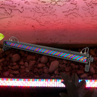 COLORrail IRC IP
