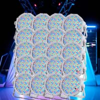 Jelly Par Profile Twenty pack