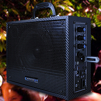 Wasp300 Black Portable PA System