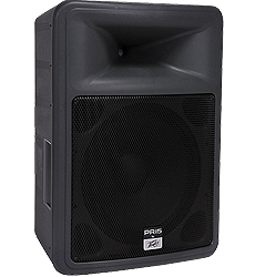 Peavey PR15 Speaker