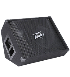 Peavey PV12M Speaker