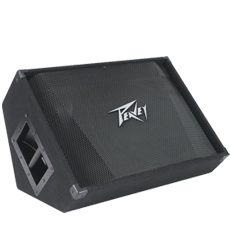 Peavey PV15M Speaker