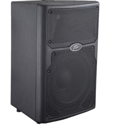 Peavey PVXp10 Speaker