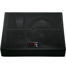 Peavey SP15M Speaker