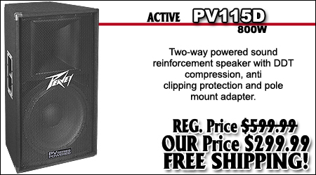 PV115D Powered Speaker