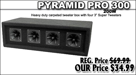 PRO300