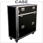 Case