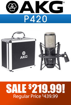 akg p420