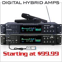 Digital Hybrid Amps