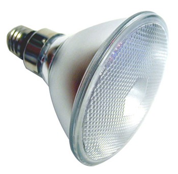 LED PAR 38 LAMP 