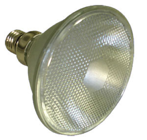 Eco-LED Par38-120 LED lamp 