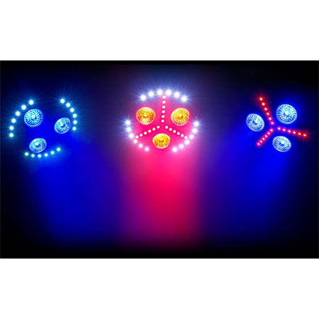 Chauvet FXpar 3 Compact Effect Par Lights with Stands, Remote & Cases Package 