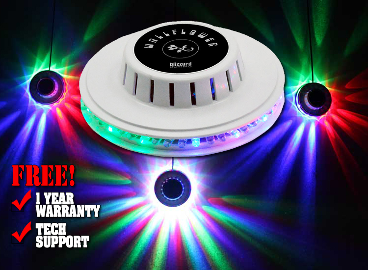 Blizzard Wallflower LED Fixture Light