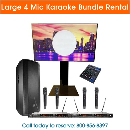 Large 4 mic karaoke bundle