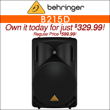  Behringer B215D 