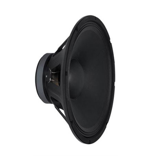 Pro Series 12 Speaker