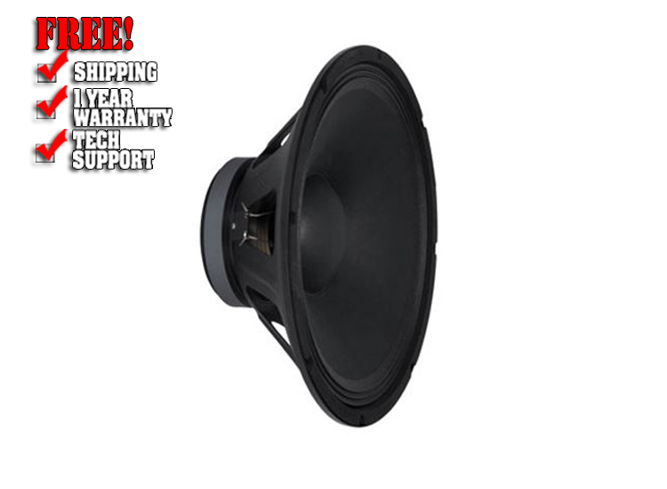 Pro Series 12 Speaker