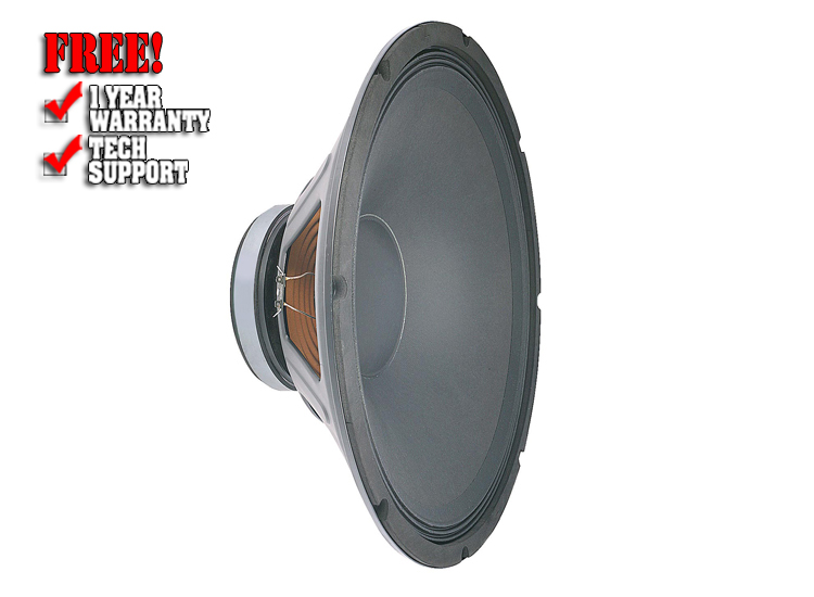 Pro Series 18 Speaker