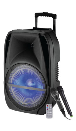 Technical Pro Rechargeable Portable PA System WAVE12LED