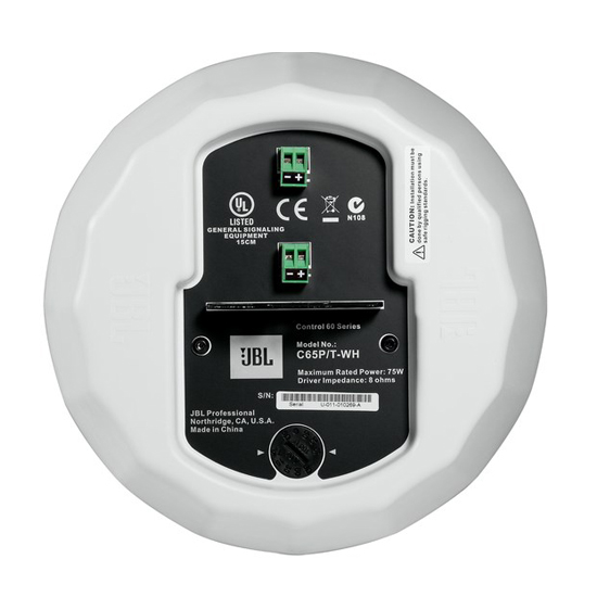 JBL Control 65P/T Compact Full-Range Pendant Speaker-White