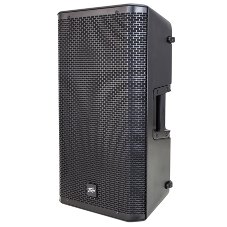 Peavey RBN™ 110 