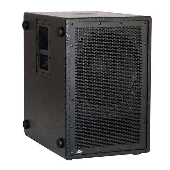 Peavey PVs 12 Vented Powered Bass Subwoofer