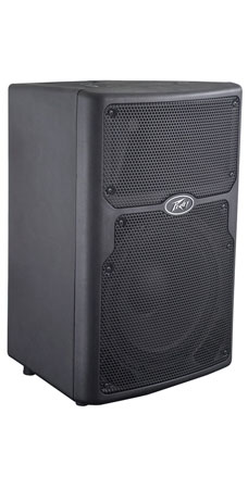 Peavey PVX™ 10