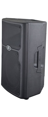 Peavey PVX™ 10