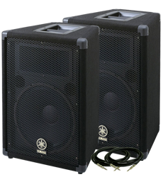 Yamaha BR12 Speaker